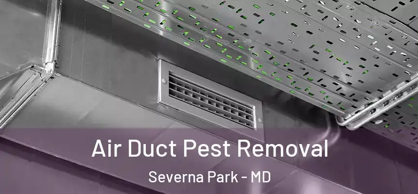 Air Duct Pest Removal Severna Park - MD