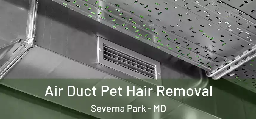 Air Duct Pet Hair Removal Severna Park - MD