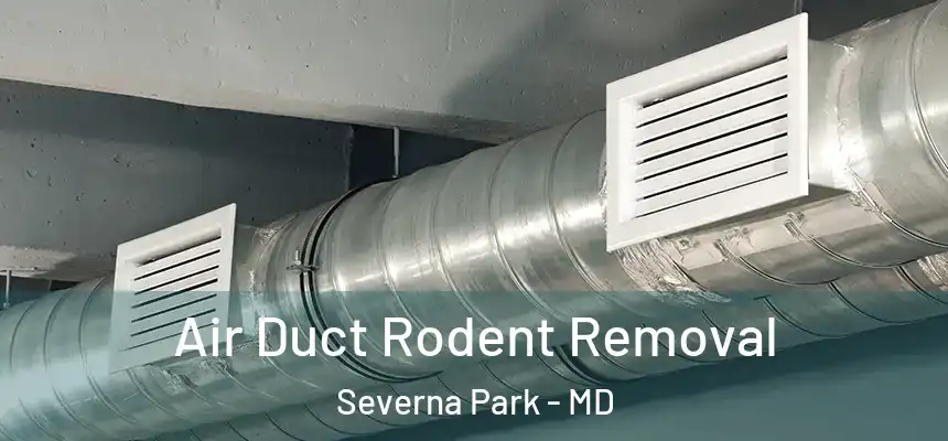  Air Duct Rodent Removal Severna Park - MD