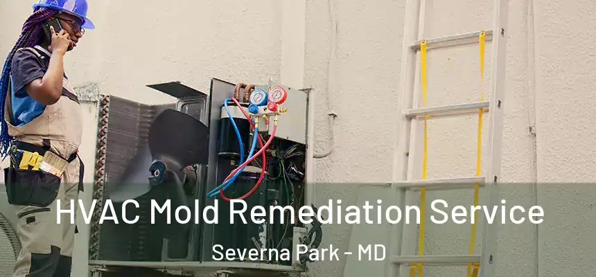 HVAC Mold Remediation Service Severna Park - MD