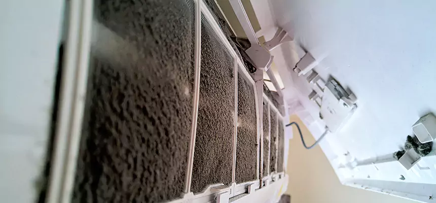 Preventive Air Duct Bacteria Removal in Severna Park