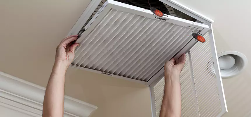 Preventive Cockroach-Proofing for Ducts in Severna Park