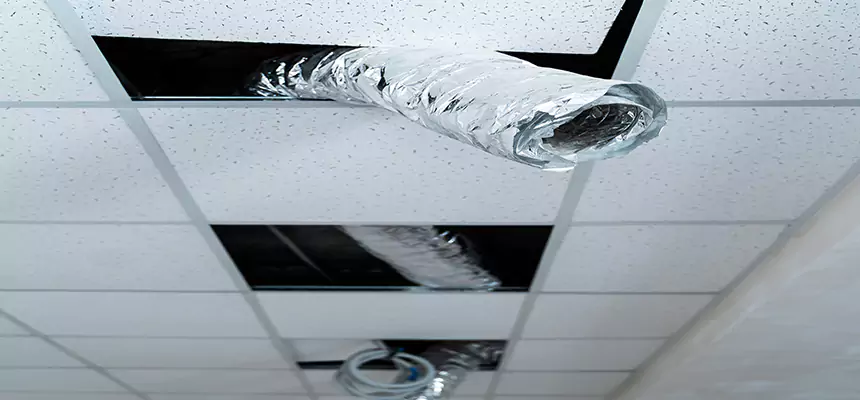 Our Air Duct Pet Hair Removal Services in Severna Park, MD