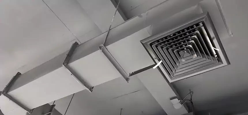 Our Pest Removal From Ducts Services in Severna Park, MD