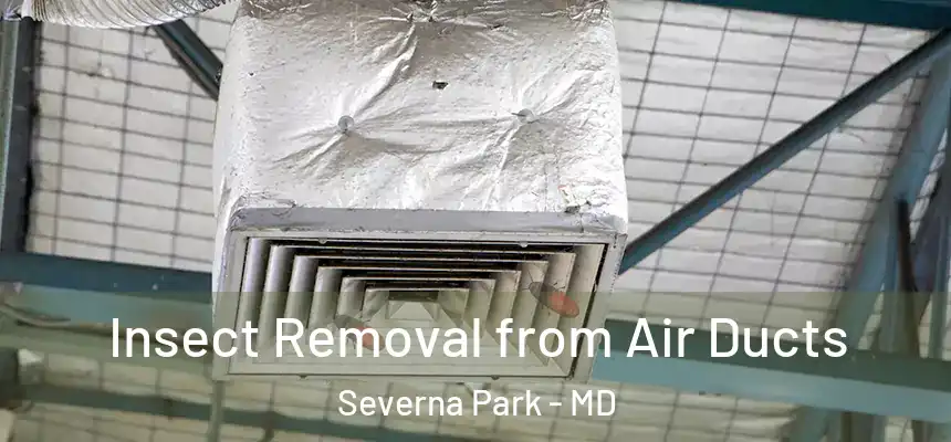  Insect Removal from Air Ducts Severna Park - MD