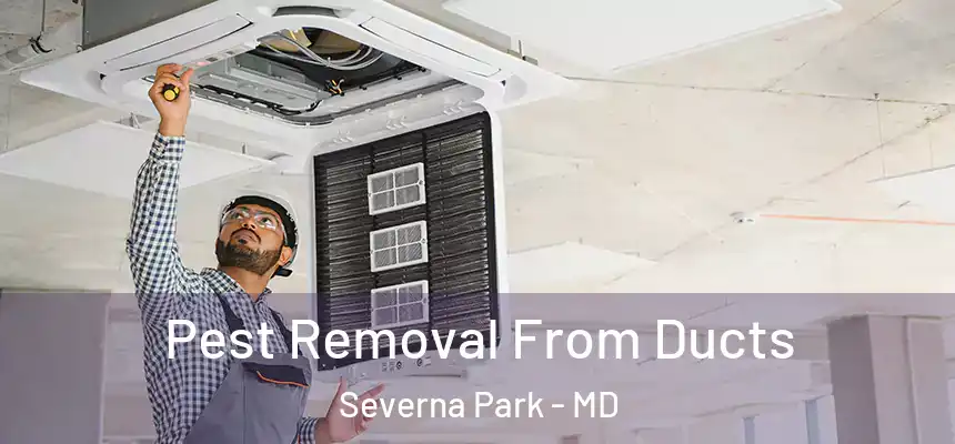  Pest Removal From Ducts Severna Park - MD