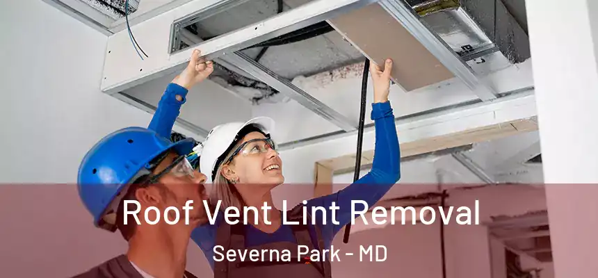 Roof Vent Lint Removal Severna Park - MD