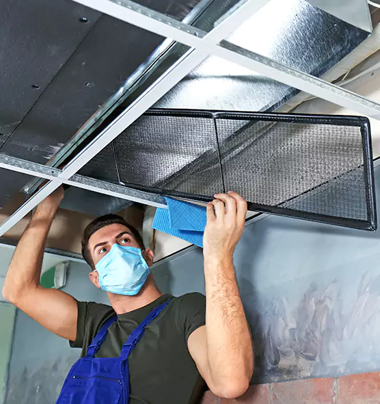 About Air Duct Bacteria Removal in Severna Park