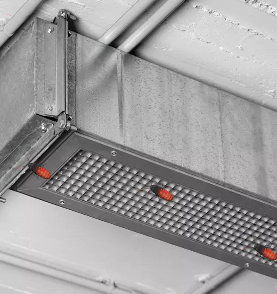About Air Duct Cockroach Removal in Severna Park, MD