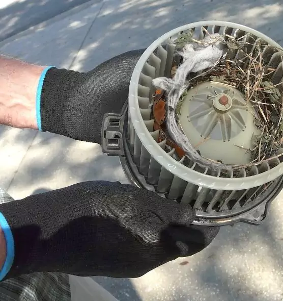 About Air Duct Rat Removal in Severna Park, MD