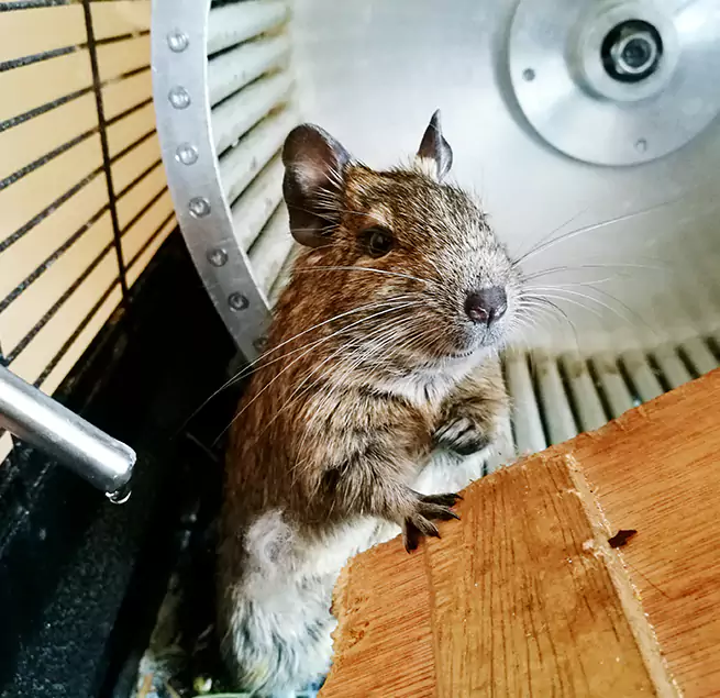 Why Homeowners & Businesses Trust Us Severna Park, MD?