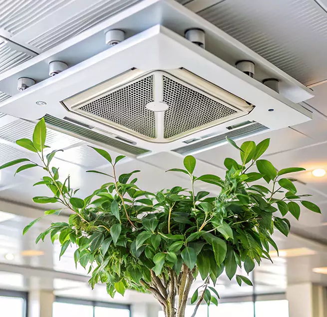 Why Homeowners & Businesses Trust Us in Severna Park, MD?